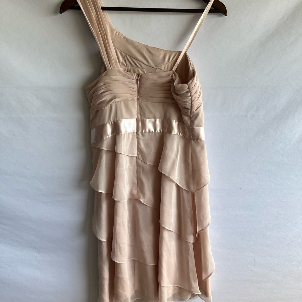 Adrianna Papell Light Pink Cocktail Dress - Picture 7 of 9